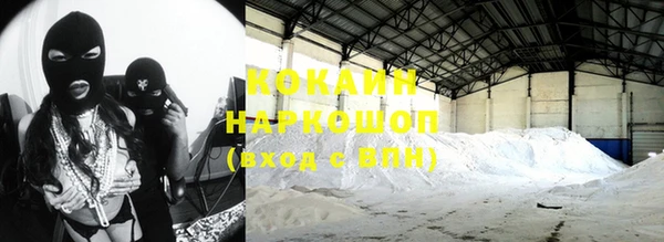 спиды Горняк