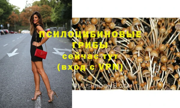 меф Горнозаводск