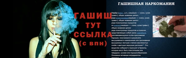 спиды Горняк