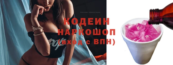 спиды Горняк