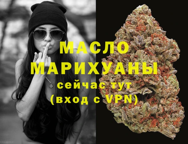 спиды Горняк