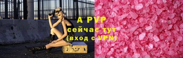спиды Горняк