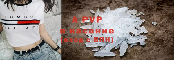спиды Горняк