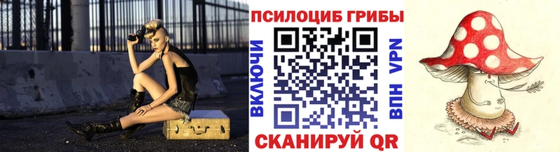 Галлюциногенные грибы мицелий  Дмитровск 